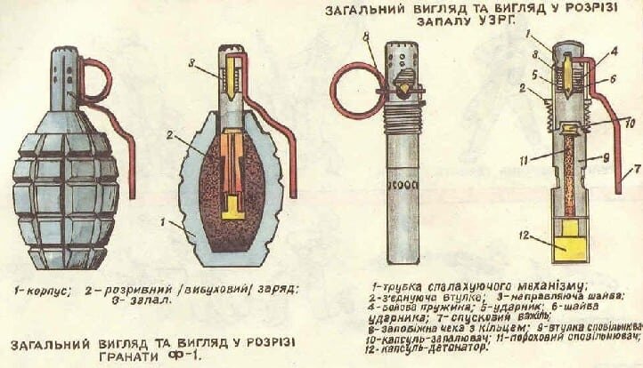 Схема гранаты ф1