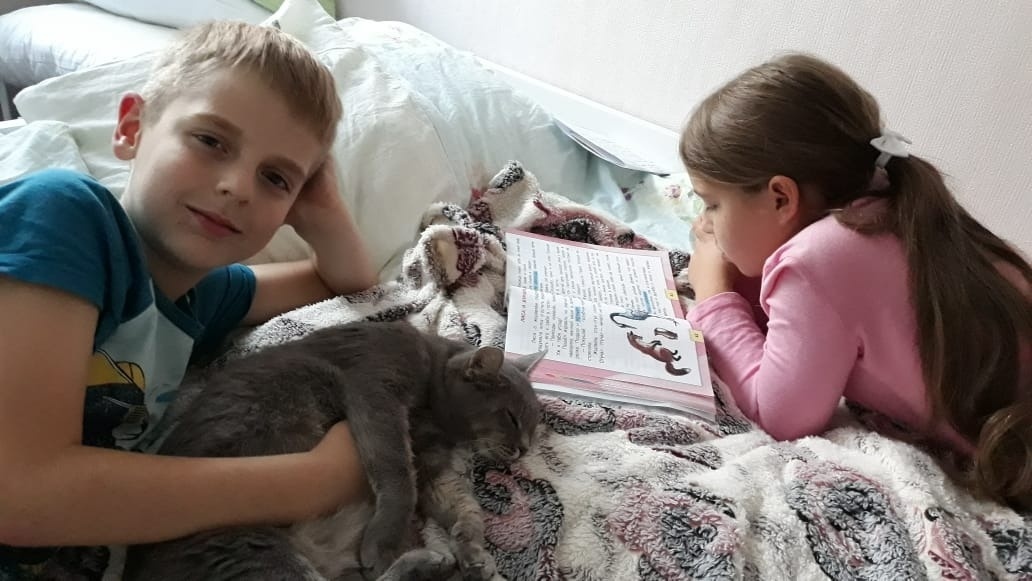 Кошечка Пейдж 