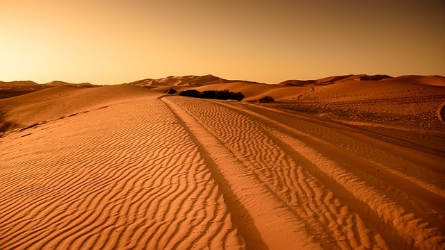 https://pixabay.com/ru/photos/%D0%BF%D1%83%D1%81%D1%82%D1%8B%D0%BD%D1%8F-%D0%BC%D0%B0%D1%80%D0%BE%D0%BA%D0%BA%D0%BE-%D0%B4%D1%8E%D0%BD%D0%B0-%D1%81%D1%83%D1%85%D0%BE%D0%B9-%D1%81%D0%B0%D1%85%D0%B0%D1%80%D0%B0-1748462/