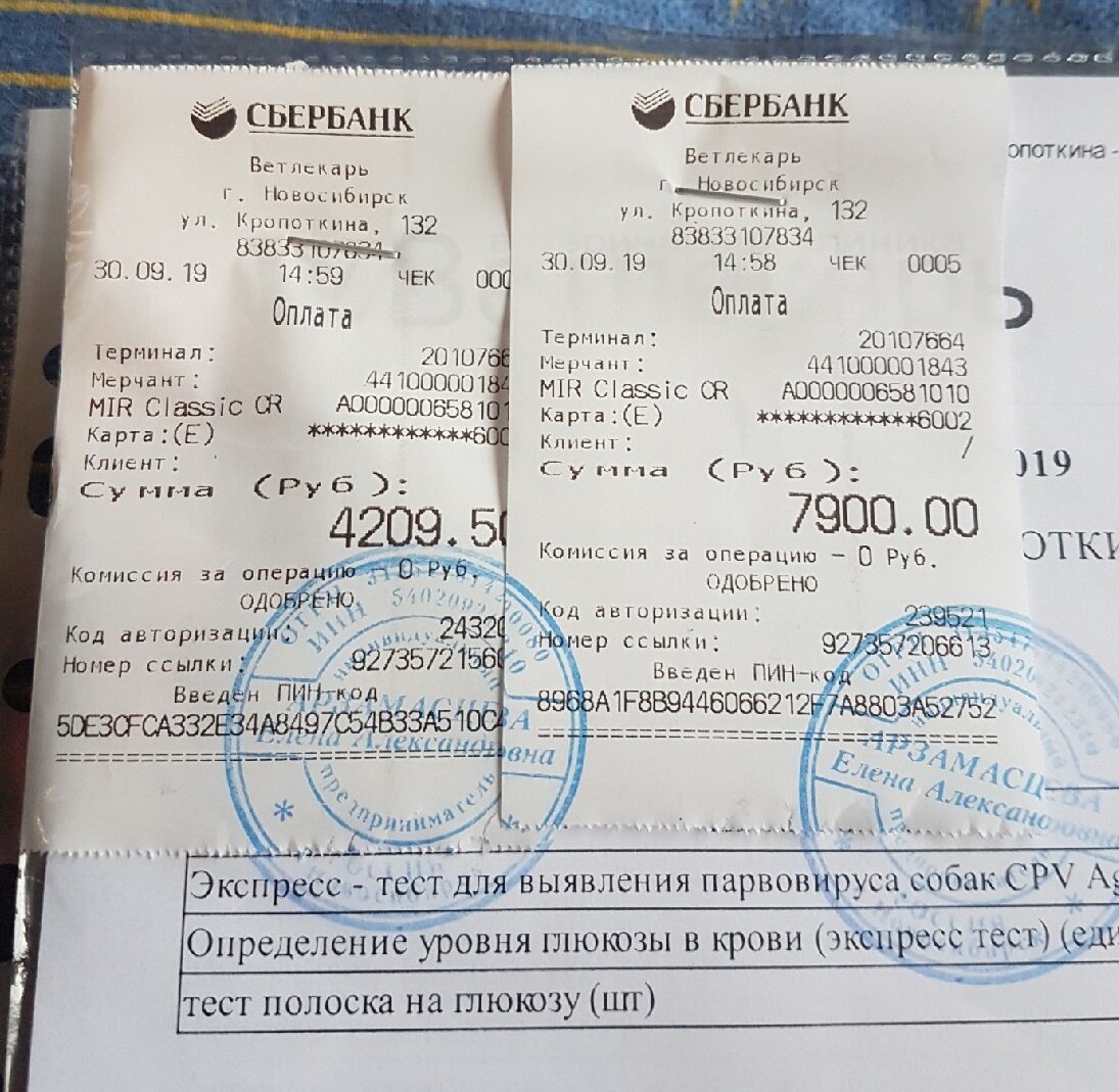 Чек за лечение Симбы в "Ветлекаре".