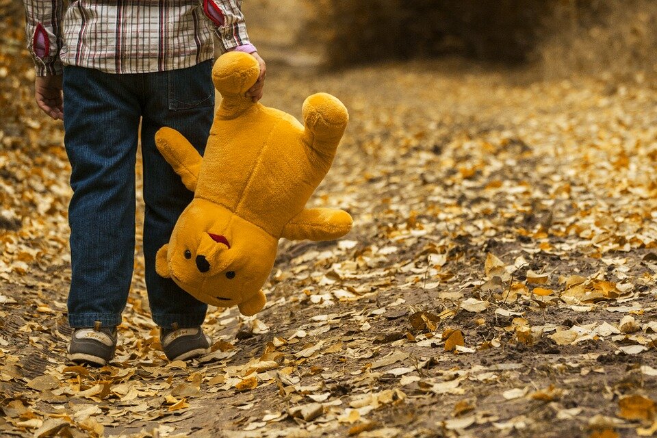 https://pixabay.com/photos/child-teddy-bear-autumn-teddy-walk-1051288/