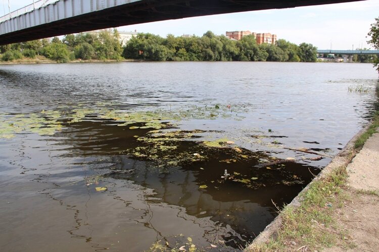 Начало суры река. Исток реки Сура. Исток Суры. Река Сура загрязнена. Река Сура.