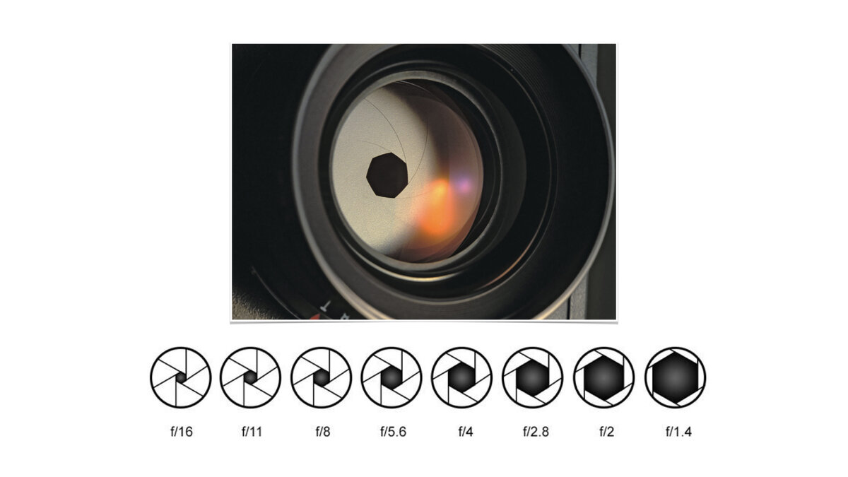 Диафрагма в фотографии это простыми словами