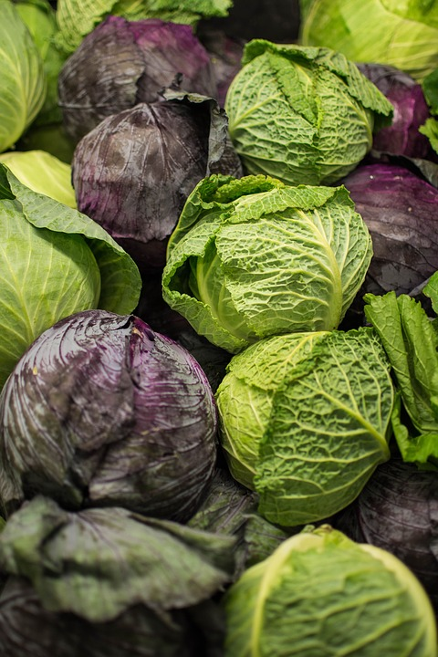  Источник: Pixabay.com. Пользователь : droberson