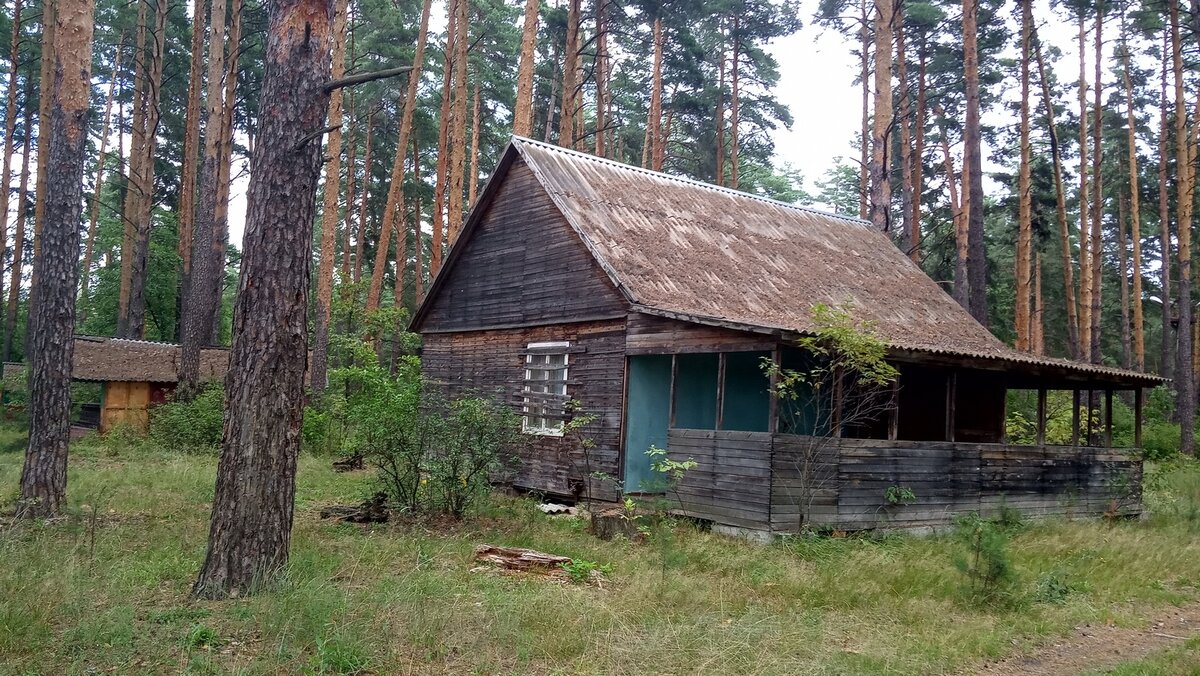 Бывшая база отдыха. Турбаза Звездный. База звезда Пермь. База отдыха звезда. Турбаза Звездный Воронеж.