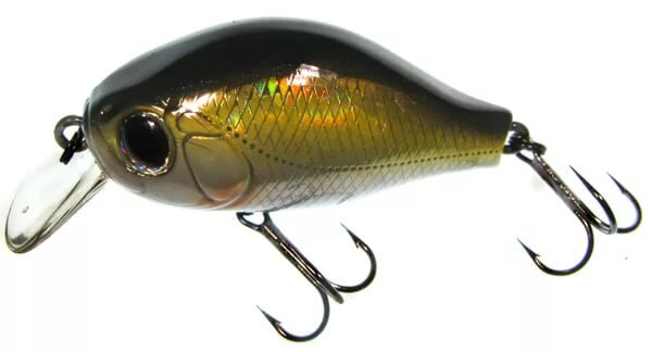 СУПЕР КРЕНК!  Ты узнал его???