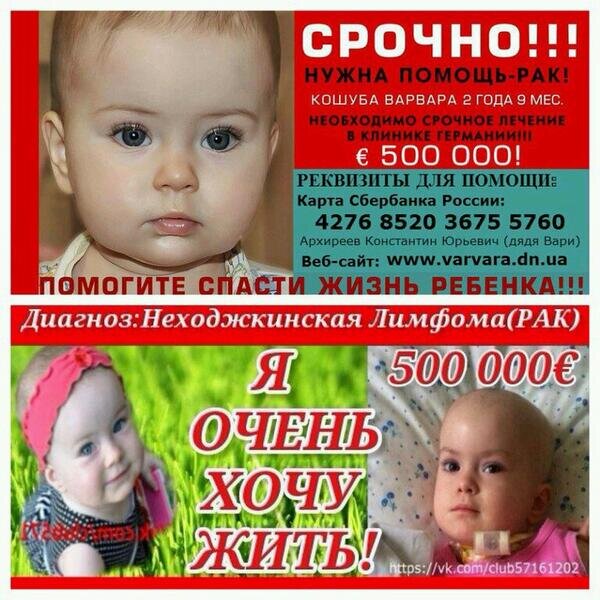 Фото взято из открытого доступа.