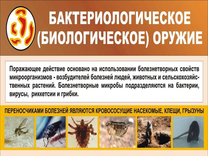 Биологическое оружие. фото из открытого источника pptcloud.ru