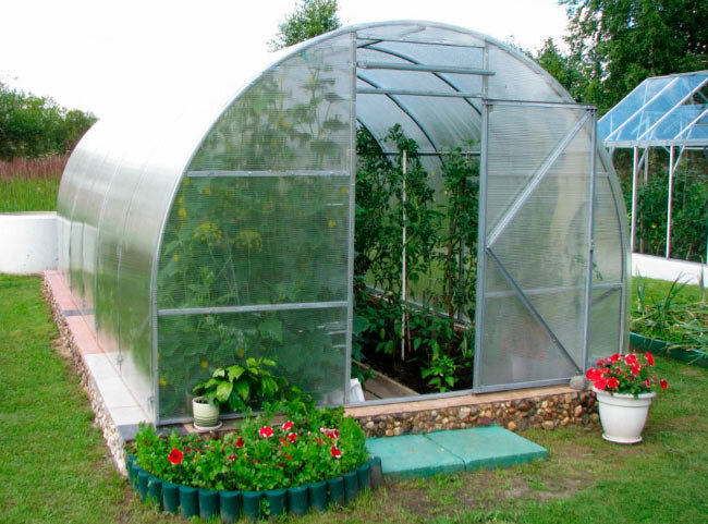 Армированная пленка. Распространенный материал для покрытия парников. Материал с достаточно высокой механической прочностью, устойчивый к разрывам, температурный диапазон эксплуатации от -40° С до +70° С, хорошая ремонтопригодность, выдерживает воздействие атмосферных осадков, помогает создавать необходимый микроклимат для выращивания огурцов, обладает высокой светопропускаемостью; стоимость пленки невысокая, поэтому она доступна широкому кругу потребителей.