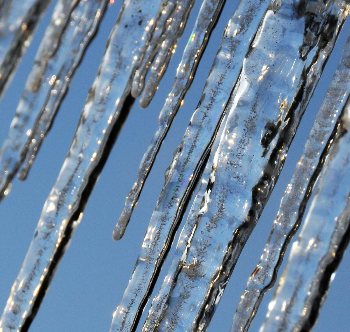 Фото взято с открытых источников яндекс