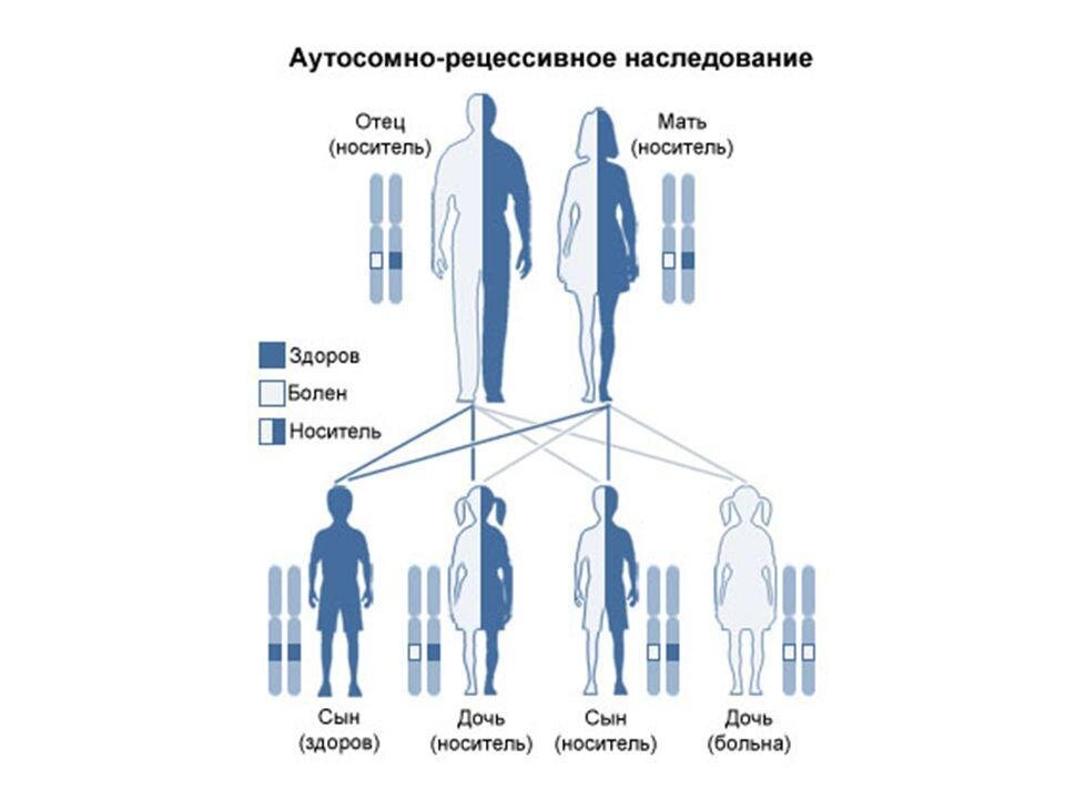 изображение взято из открытых источников
