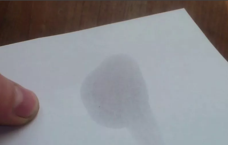 Фото из сети https://yandex.ru/images