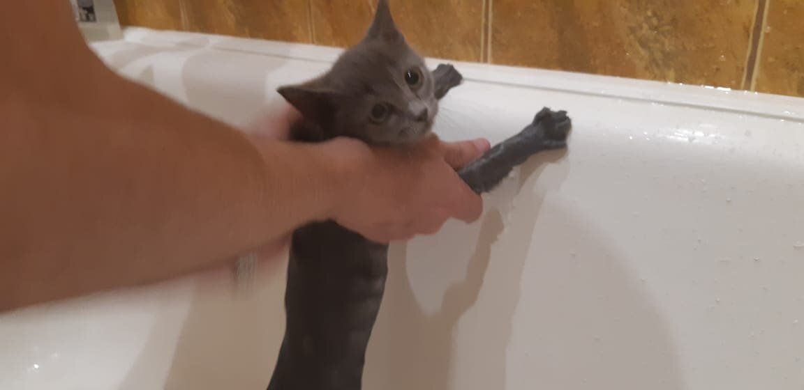 Фото из личного архива