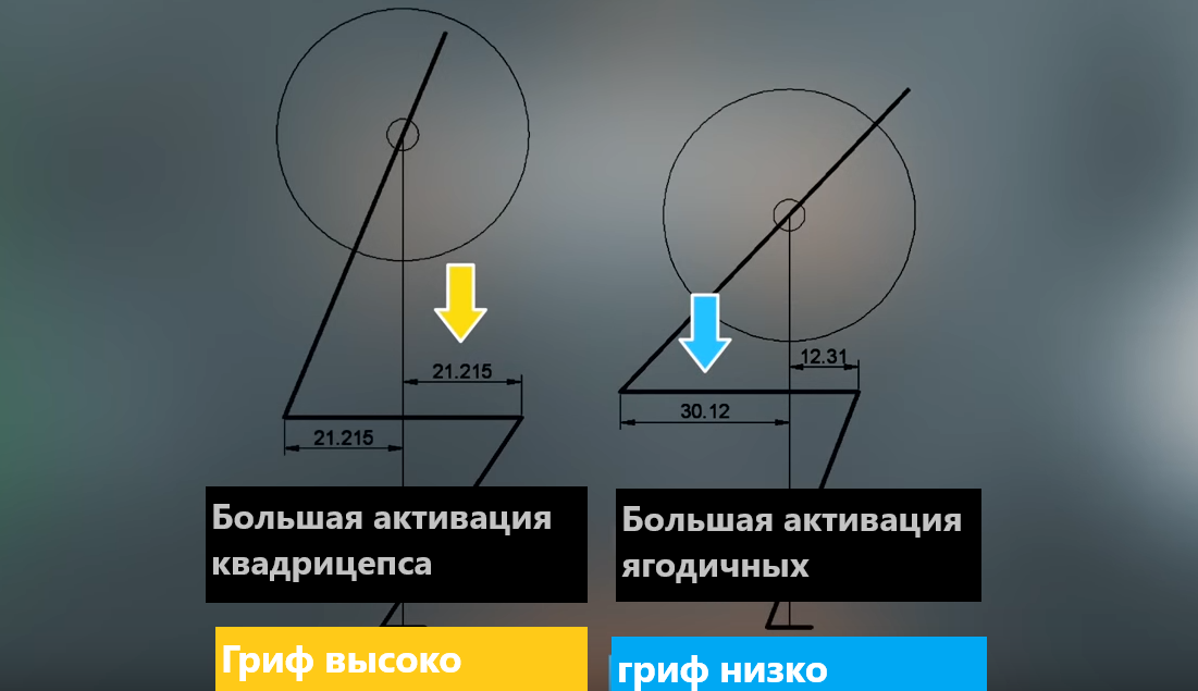 Тяни толкай ноги программа тренировка