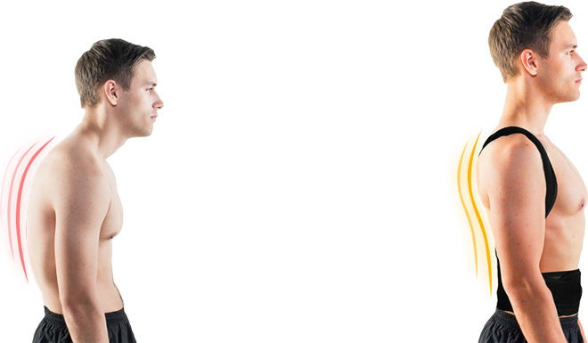Выравнивает линию позвоночника