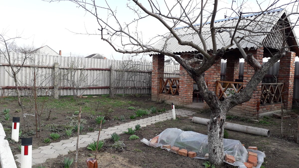 фотографии мои