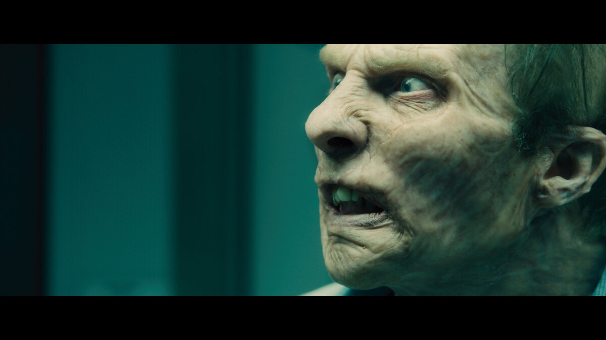 Яндекс. Картинки