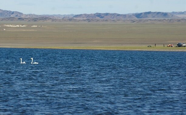       Природа.... главное зачем нужно ехать в Монголию - белоснежные вершины, бирюзовые озера и бесконечное синее небо...