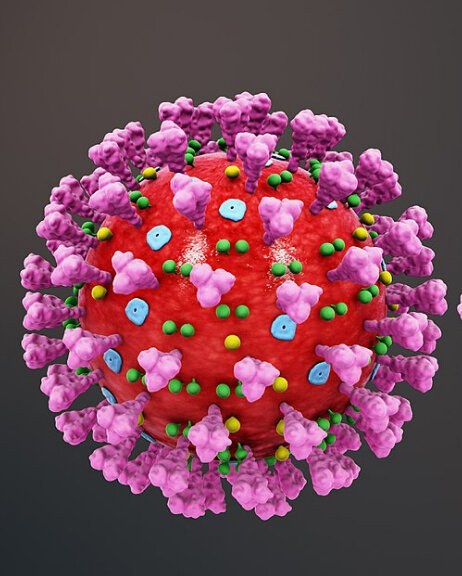 Смоделированное изображение клетки коронавируса