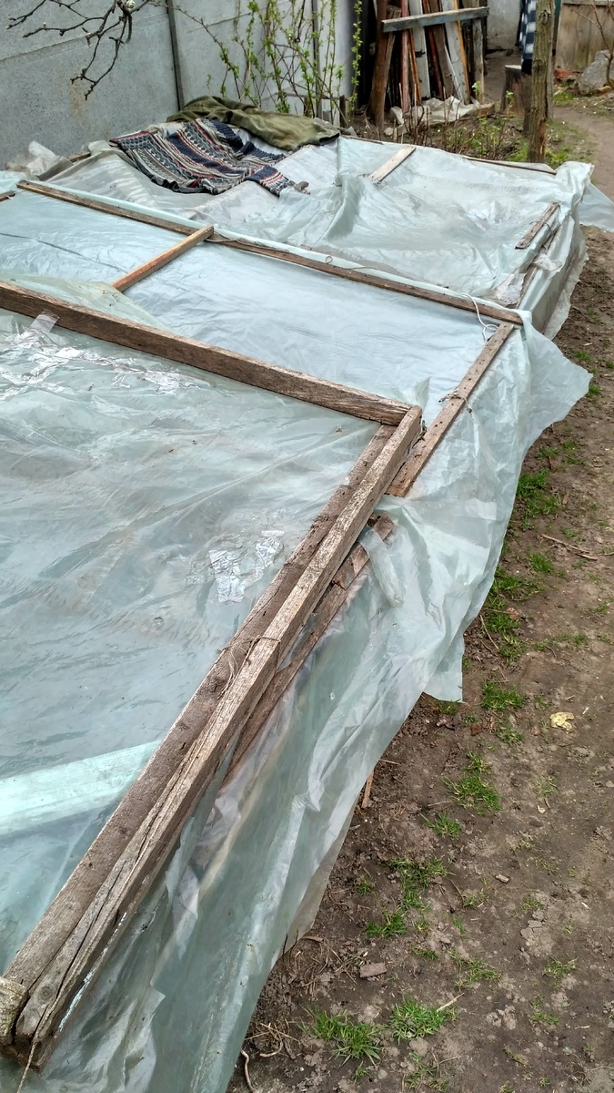 Закрытый парник