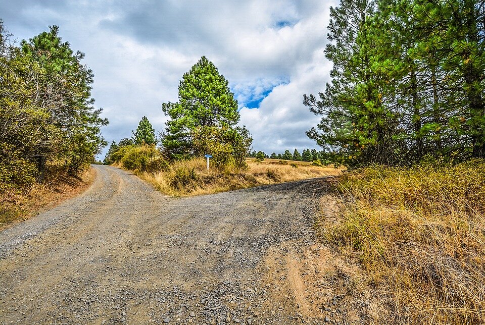 фото с fixabay.com