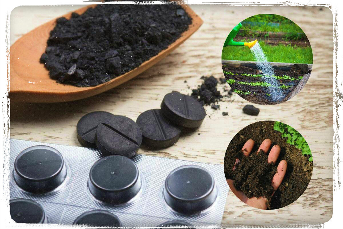 Уголь активированный (Activated charcoal)