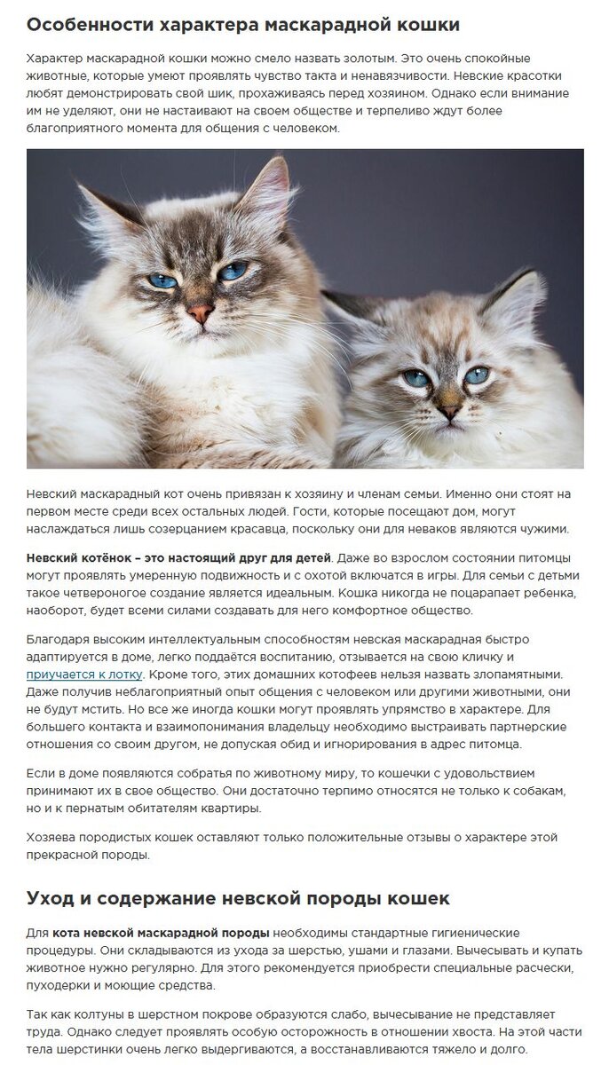 Маскарадные представления и конкурсы