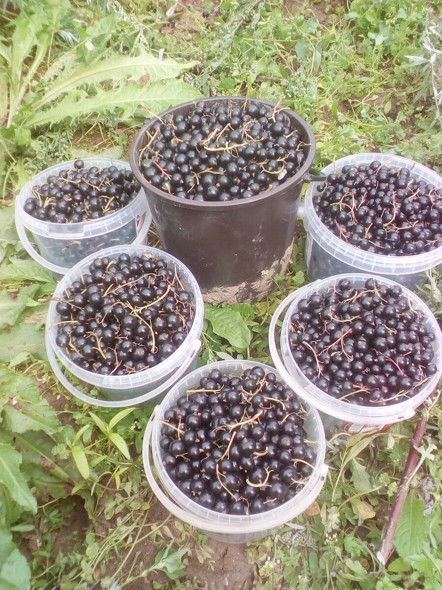 Фото из личного архива.