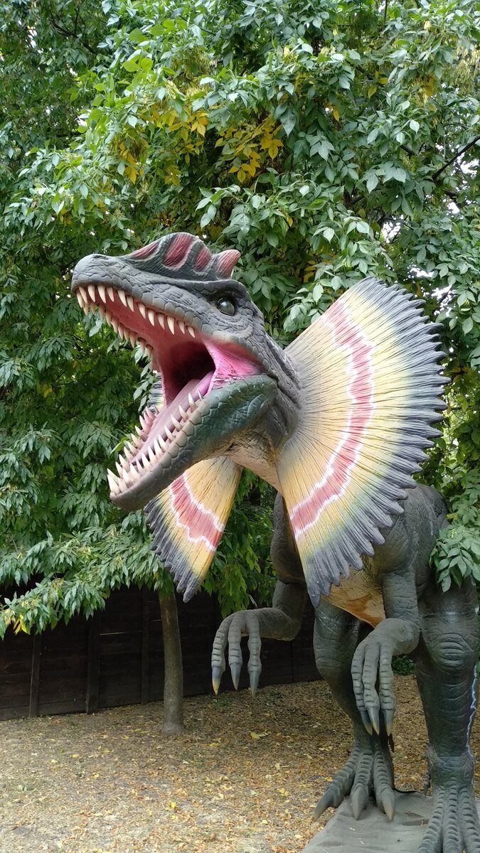 Дочка называет его цветочком