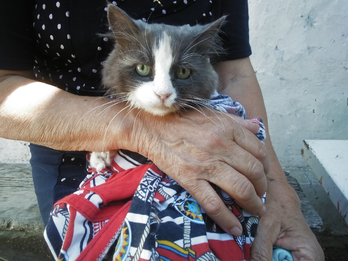 Алиска на ручках у тети Вали с порваным язычком уже 😔