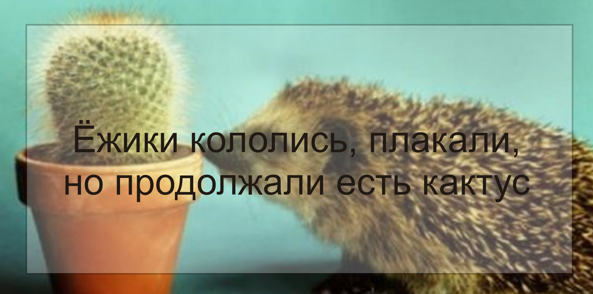 Ставьте "лайки" и  подписывайтесь на мой канал!