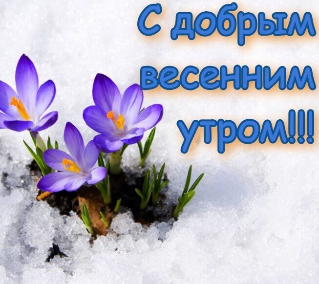 Фото из интернета. Так хочется уже тепла.
