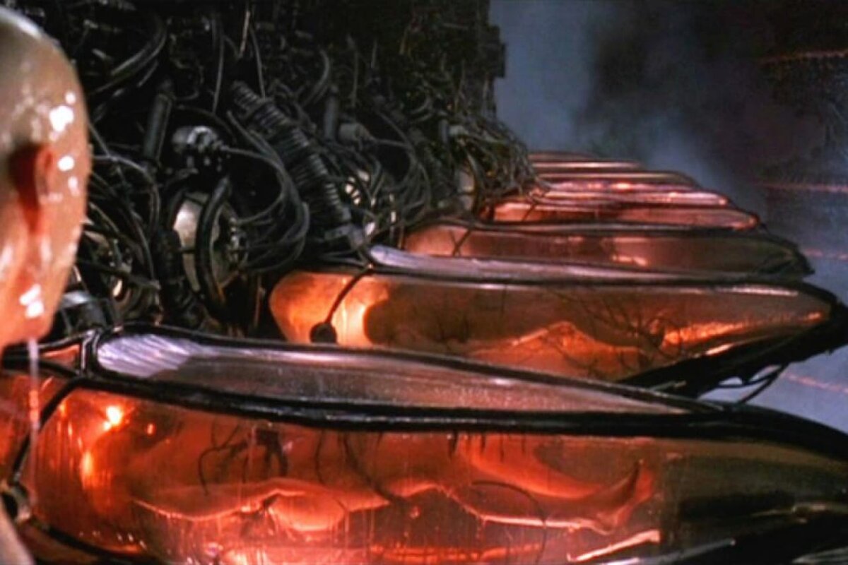 кадры из фильма Матрица