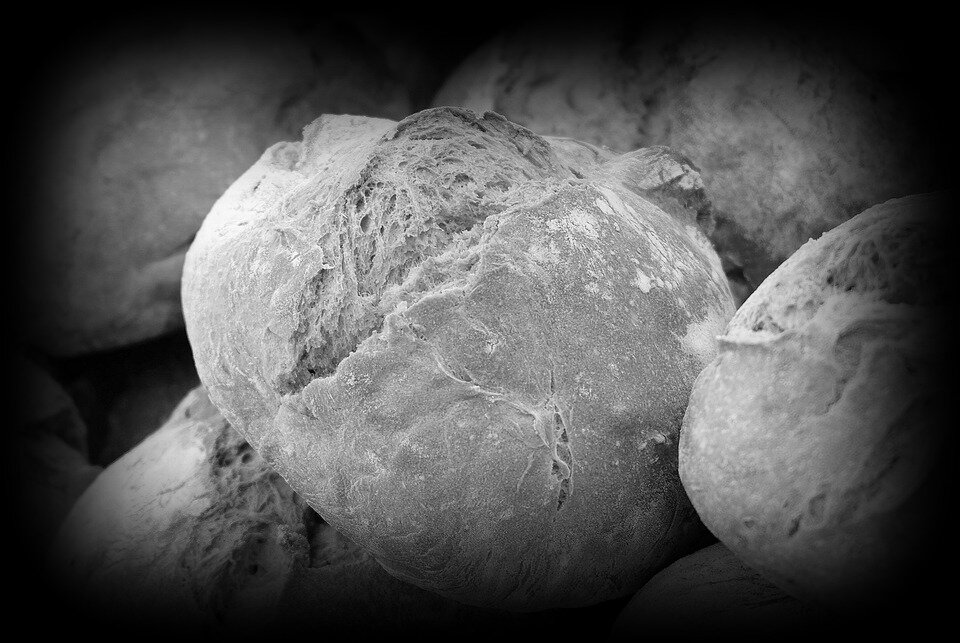 источник фото - https://clck.ru/UqWuY