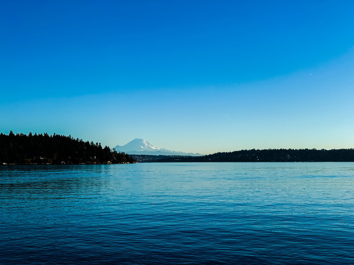 Photo by Yan L on Unsplash