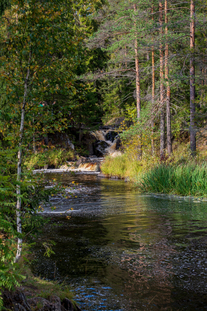 Волшебная вода