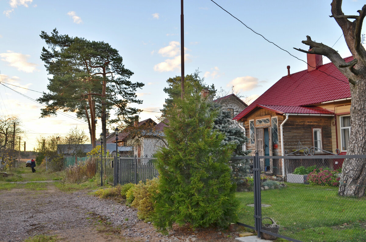 Поляна бианки в лебяжье фото