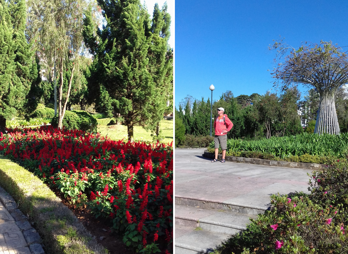 Парк в Далате. Листайте!