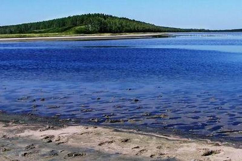 Курорт медвежье в курганской области