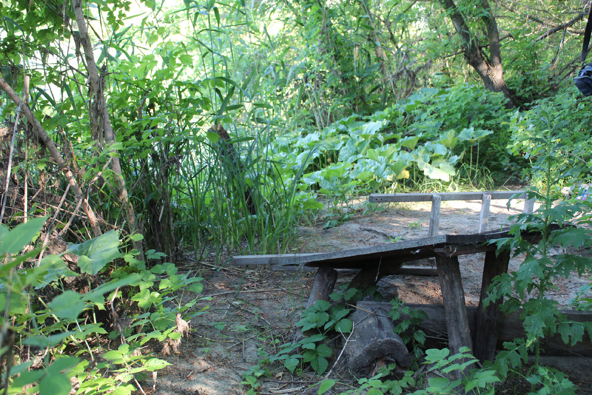 Последствия стихии 