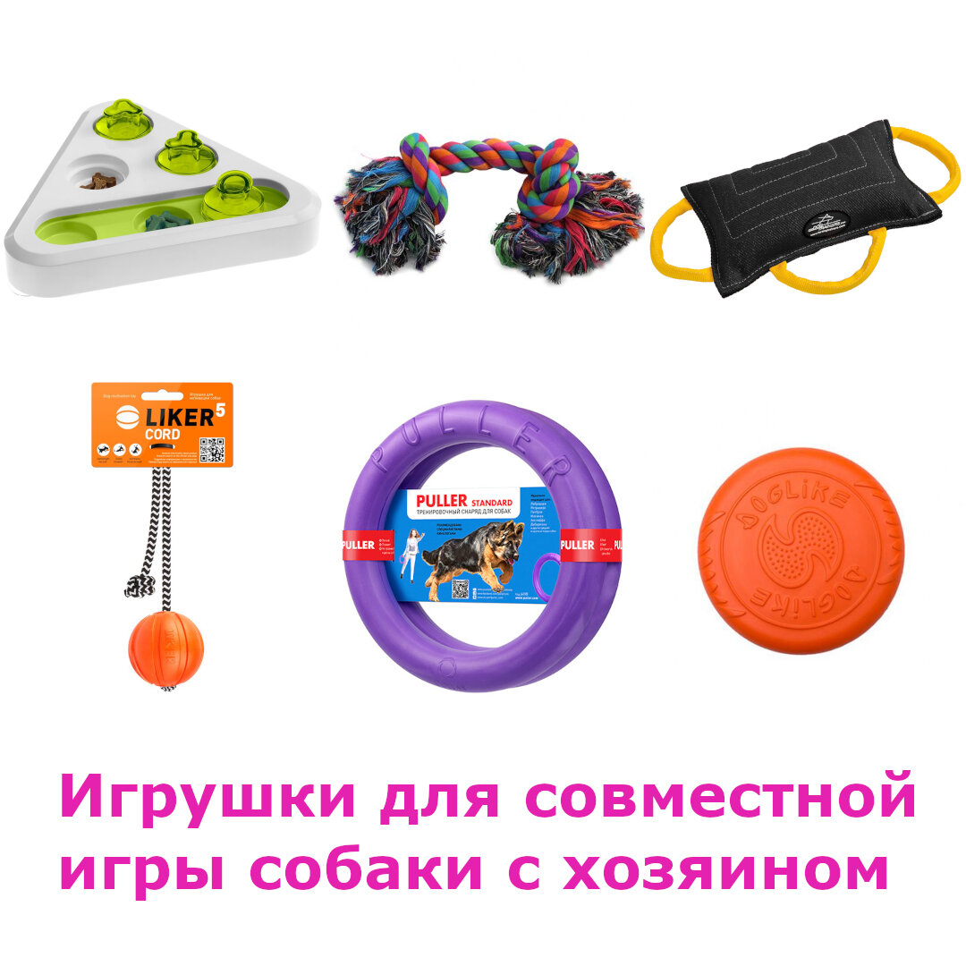 Игрушки, которые можно использовать для совместных игр.