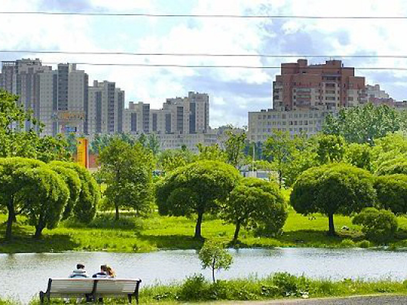 Зеленые зоны в городе. Зеленые насаждения. Городские зеленые насаждения. Зеленые насаждения в городе Москва.