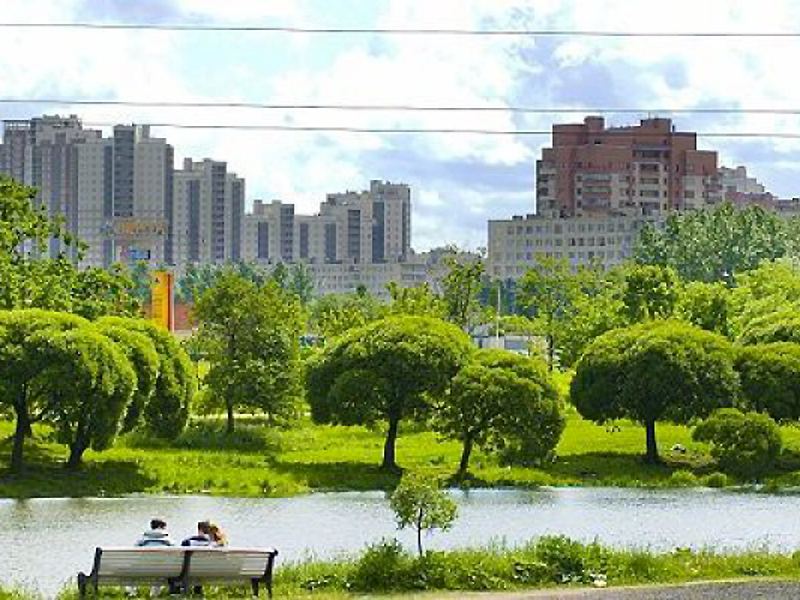 В городах и других населенных. Зеленые зоны в городе. Зеленые насаждения. Городские зеленые насаждения. Зеленые насаждения в Москве.