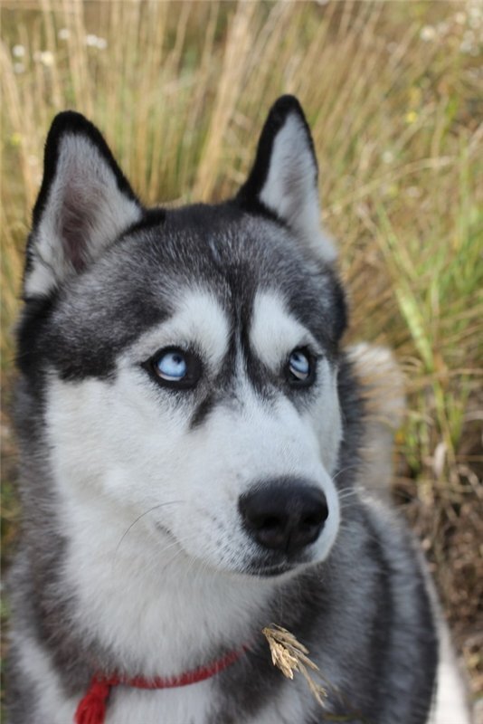 Как это: нельзя убегать?!