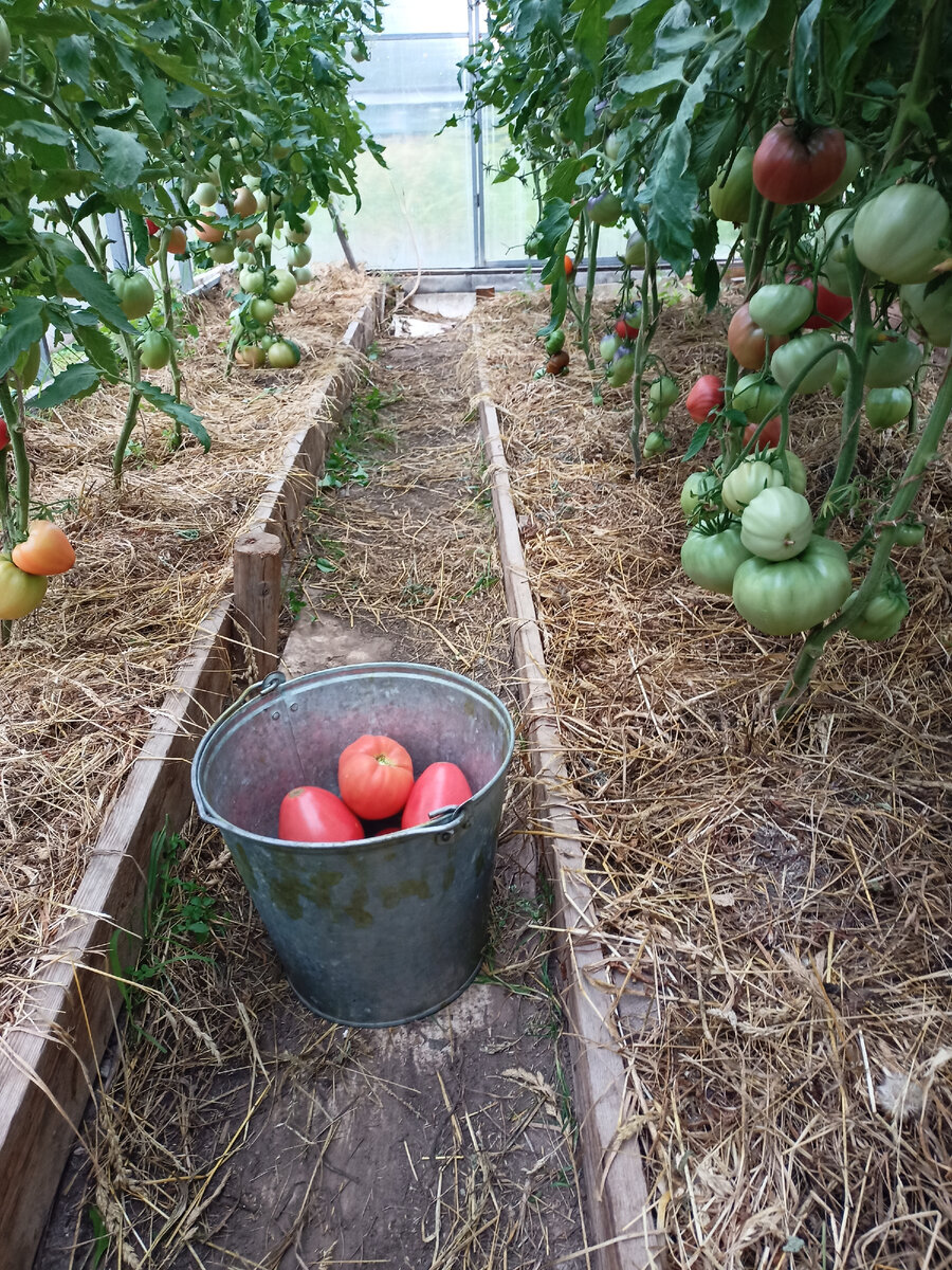 Сезон 2021. Фото автора