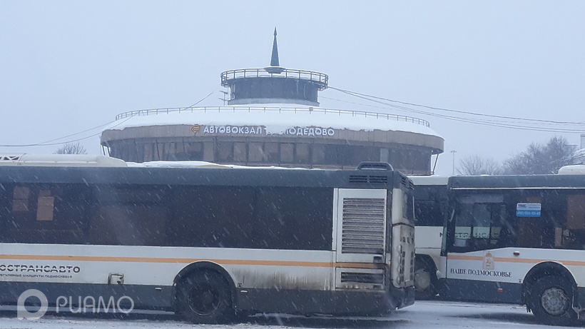 По второму разу на те же грабли. И попрыгать! Или почему автобусы в Подмосковье стоят дорого, но не везут.3