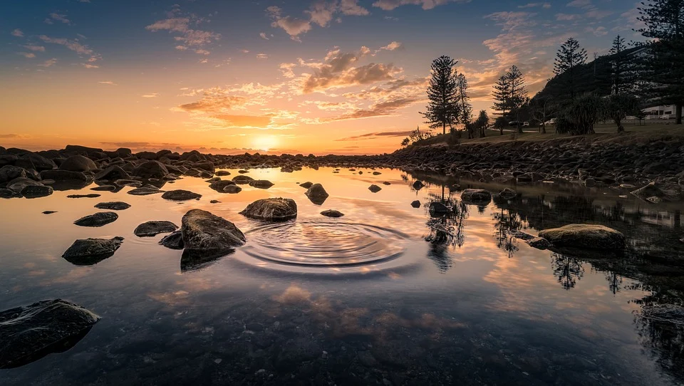 https://pixabay.com/ru/photos/
