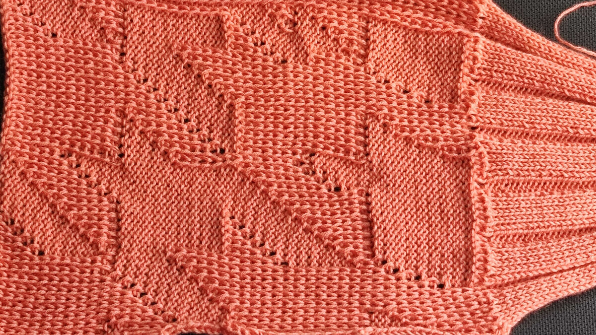 Рисунок по репсу "гусиная лапка"