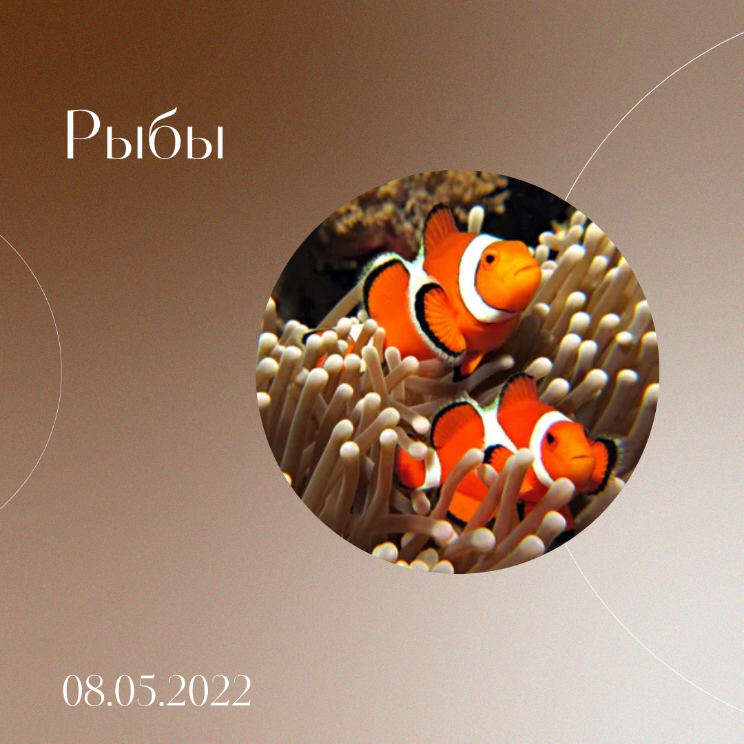 Рыбы - 08.05.2022