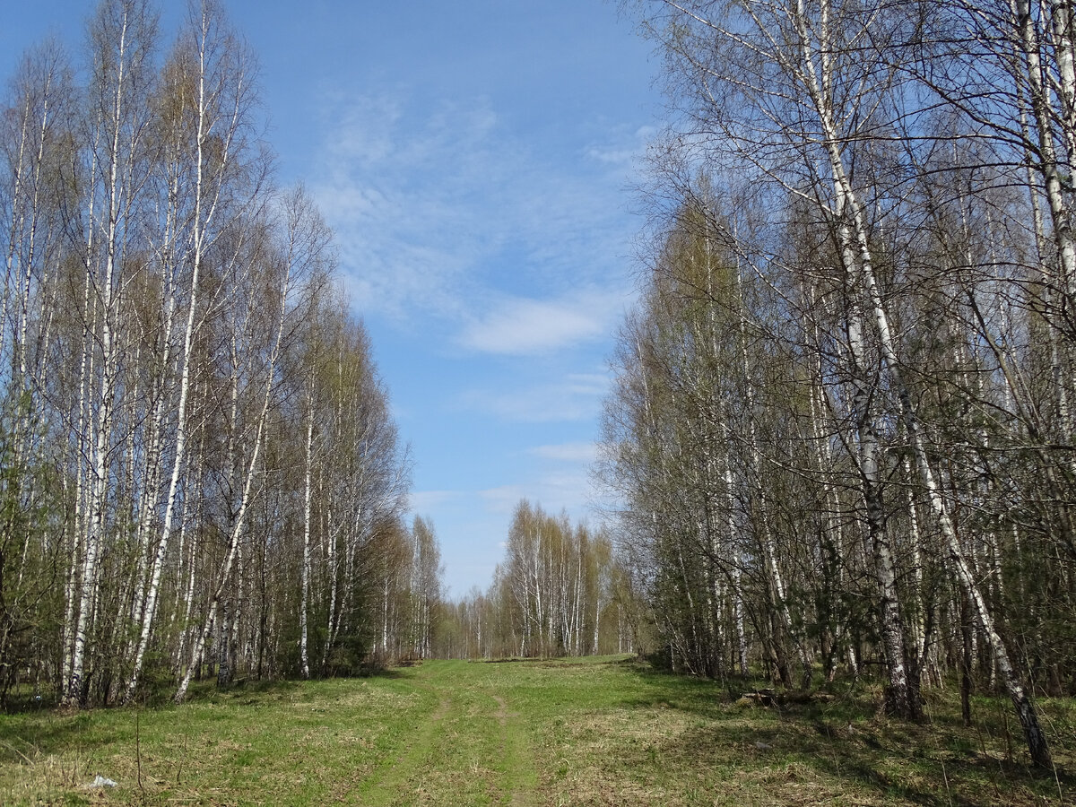 Фото Старого Солдата. 06.05.2022